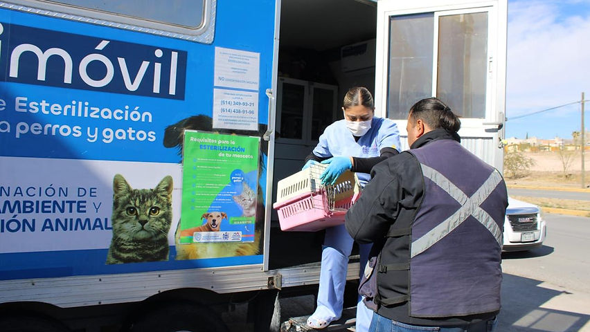 Fortalece Marco Bonilla protección animal con acciones en favor de perros y gatos
