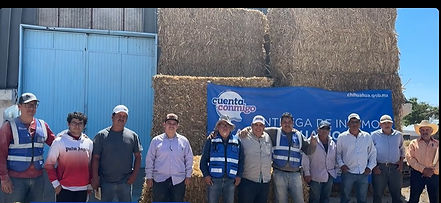 Realizan la segunda entrega de maíz molido subsidiado a productores de Matamoros 