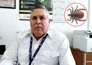 Alerta por garrapatas en Parral: Despliegan fumigación en colonias críticas