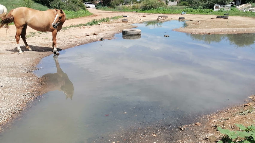 colapsan drenajes en la ciudad por lluvias jmas