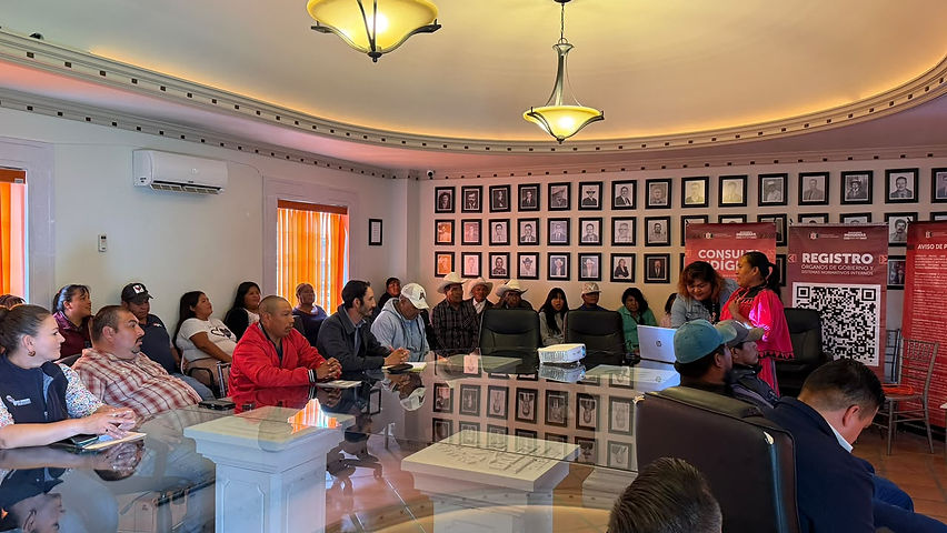 balleza participa en consulta previa sobre regidurias indigenas