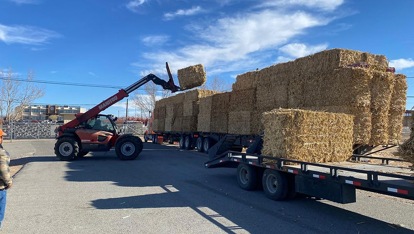Entrega Desarrollo Rural 90 toneladas de rastrojo de maíz a productores de Juárez