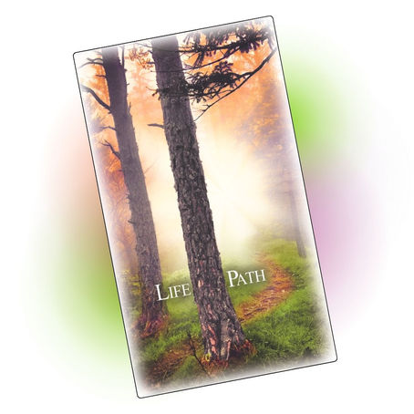 Life Path - Explorations  7-27-25