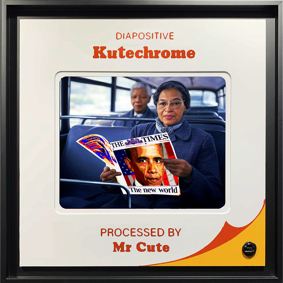 Chaque geste compte ! Rosa Parks (30 cm)