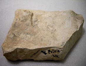 UC39607backb-325x245.jpg