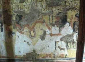127-263x194.jpg