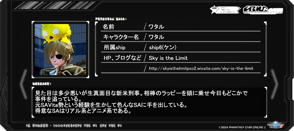 Profile Pso2 Saf