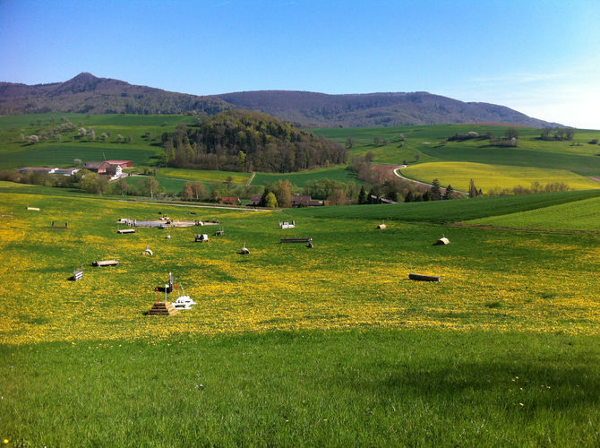 Turnier vom 17. Juli - Ausschreibung online