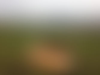 Bildlicher Cross-Vorgeschmack