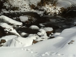 footprints-snowstream