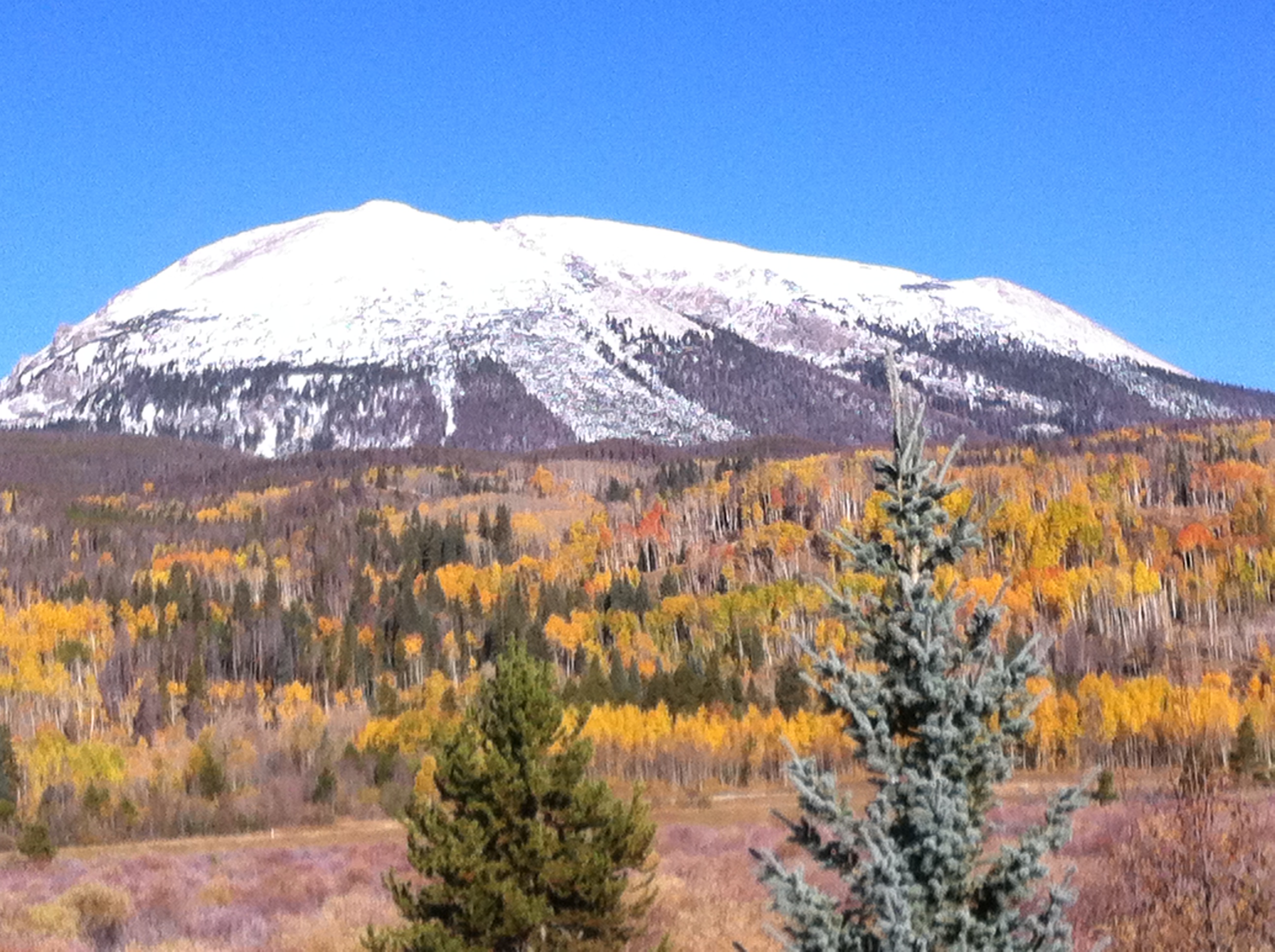 Home Meadow Creek HOA