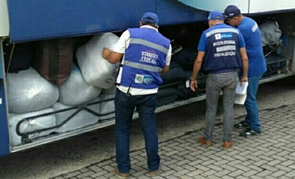 Material estava distribuído em três ônibus, abordados em Paraty — Foto: Barreira Fiscal