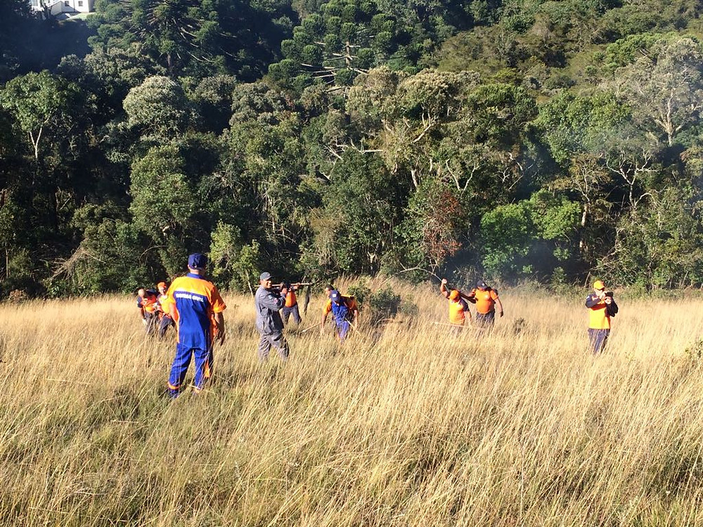 Foto: Divulgação/PMI