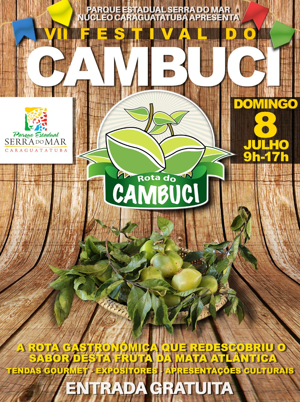 Cartaz de divulgação da festa