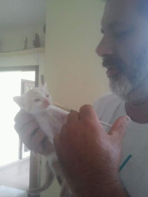 Carlos Rocha cuidando de um gatinho, vítima de maus tratos - Foto: Arquivo pessoal