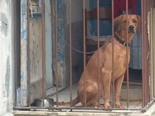 Abril Laranja Pet, que tal fazer a diferença o ano todo?
