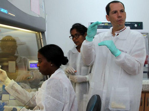 Covid-19: ONU reúne líderes mundiais e setor privado em iniciativa para acelerar tratamentos e vacin