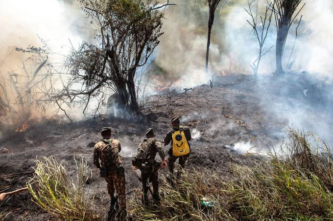 Vans é uma das marcas que suspendeu a exportação de couro do Brasil, por causa dos incêndios na floresta Amazônica (Lilo Clareto/Folhapress)