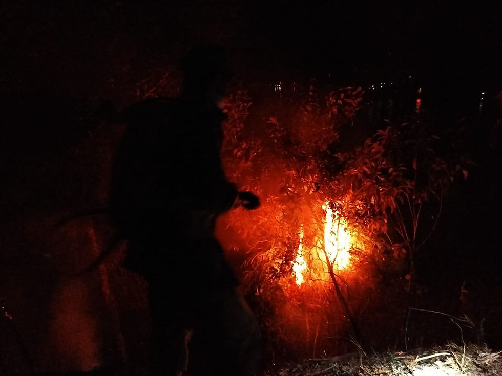 Incêndio atinge área de proteção ambiental na Ilha Grande, em Angra — Foto: Divulgação/Corpo de Bombeiros