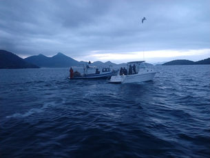 Dupla é detida ao pescar em área de proteção ambiental de Angra dos Reis