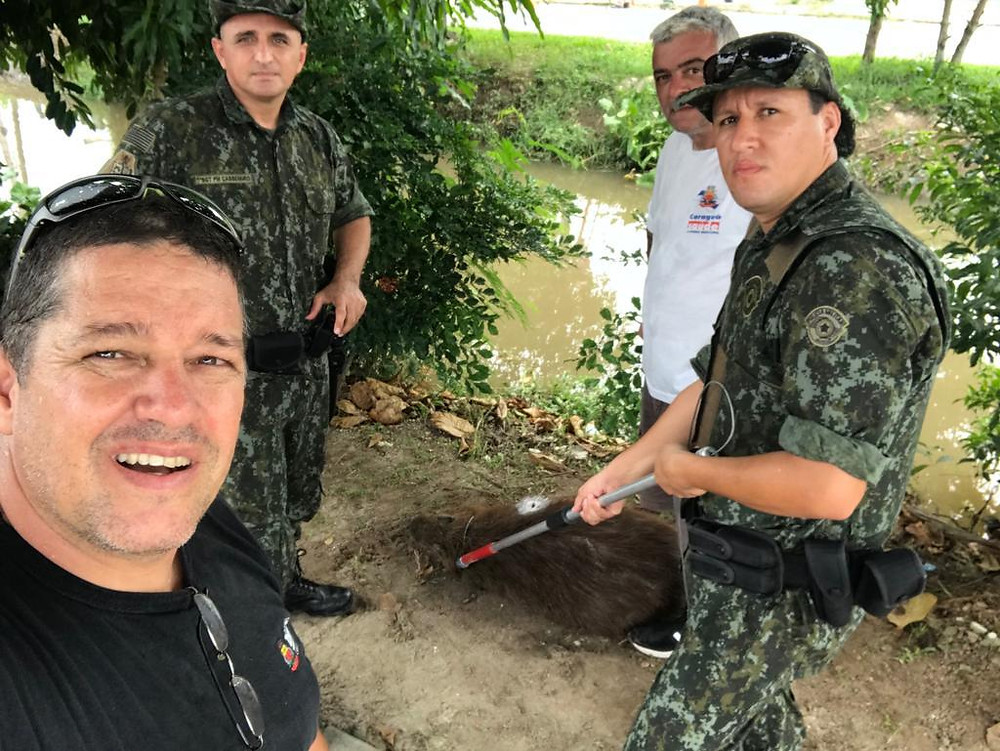 #PraCegoVer: Equipe do CCZ e Polícia Ambiental tira foto do grupo, junto à capivara resgatada - Foto: Divulgação/PMC
