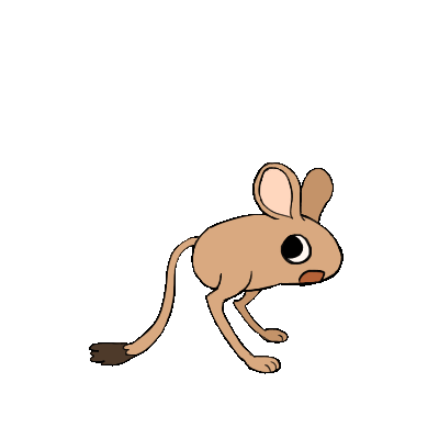 jerboa.gif