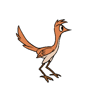 roadrunner.gif