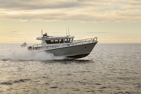 SARGO 36 new 2021.jpg