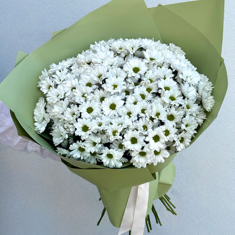 fresh white chrysanthemums wrapped in sage-green paper