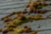 Moss Growth on an Alaska Roof - Moss Busters of Alaska professional moss removal