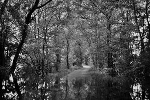 DSC_0742.jpeg