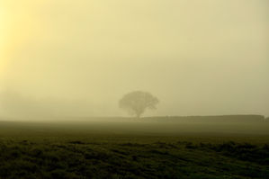 DSC_1243.jpeg