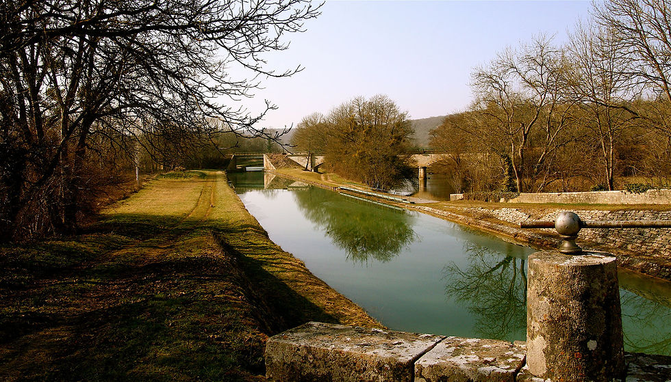 region-5.jpg