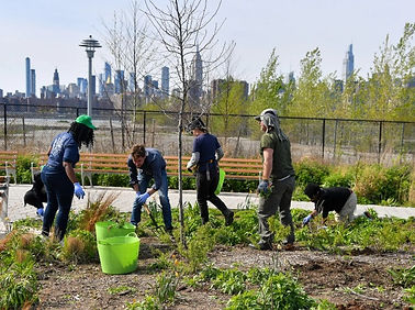 NYC Parks_edited_edited.jpg