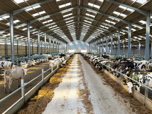 Construction photography