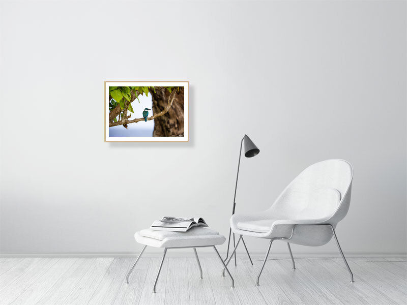 Thumbnail: Going Cheep