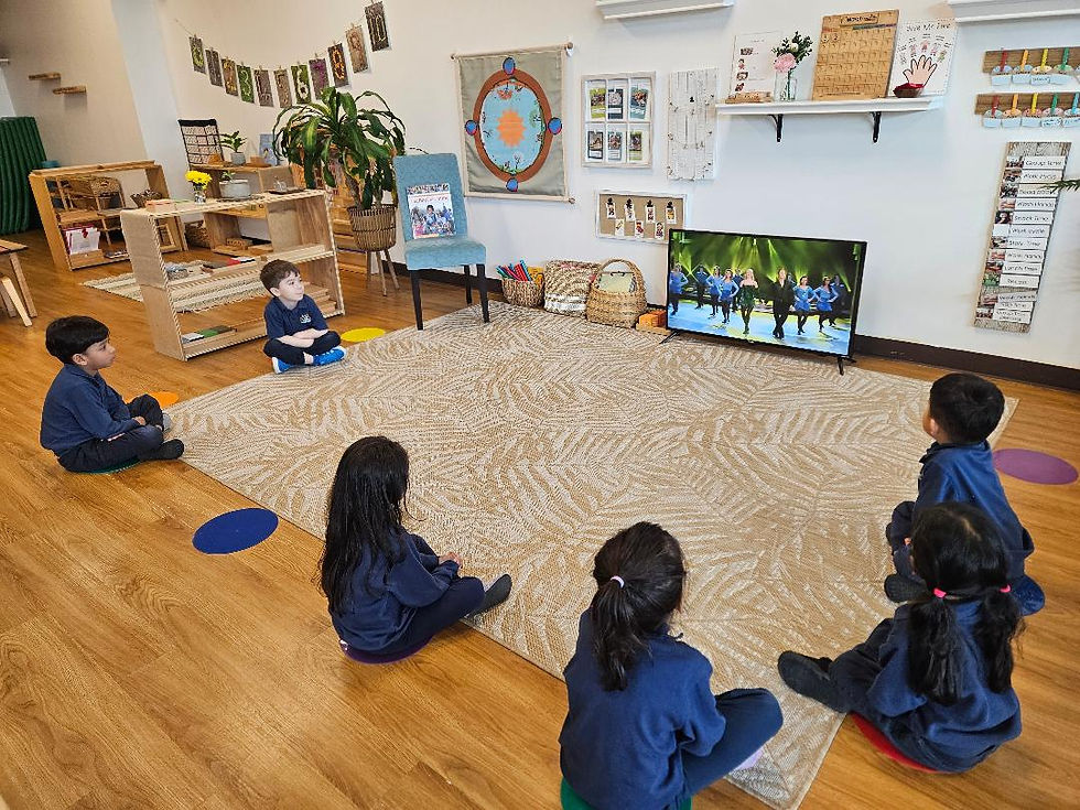 Mesmerized ! Virtual fieldtrip- Dublin, Ireland (Gaiety Theatre) Riverdance