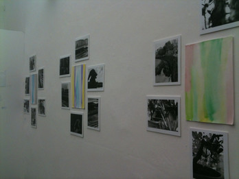 IMG_1952.jpeg