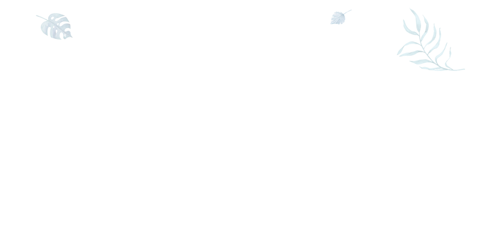 Mayu_Website_01_TopBG2.png