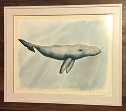 whale 4