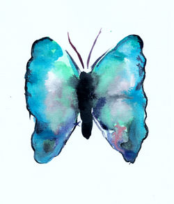 Butterfly1
