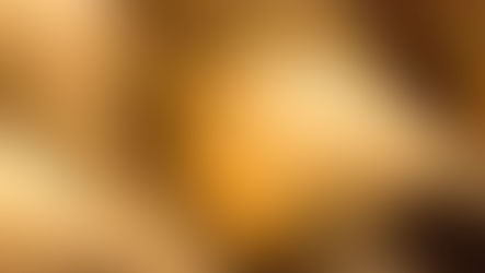 De la bodega a la copa: Cómo almacenar y conservar el vino