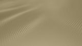 back1-68540B.jpg