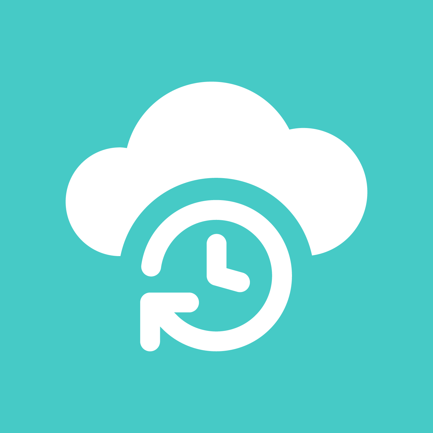 Icon "Storage, Backup & Recovery"