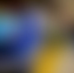 TransLink IDEA Strategy