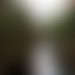 Koksilah Watershed Engagement