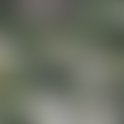 səmiq̓ʷəʔelə Master Plan Engagement