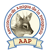 IMG_3387.png