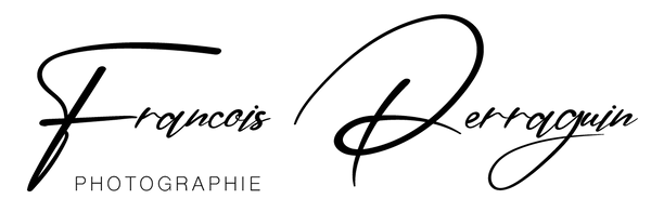 Logo FPP.png