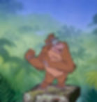SOLD - King Louie Cel